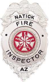 Badge with Eagle and Circular Panel