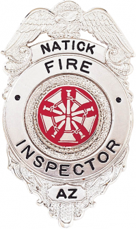 Badge with Eagle and Circular Panel