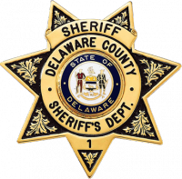 Seven Point Star Badge with Circular Panel and Deluxe Enamel