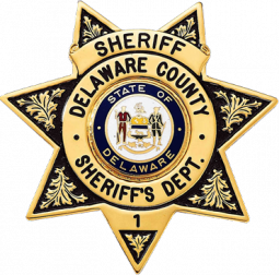 Seven Point Star Badge with Circular Panel and Deluxe Enamel