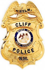 Shield Badge with Eagle