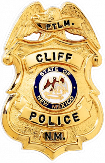 Shield Badge with Eagle