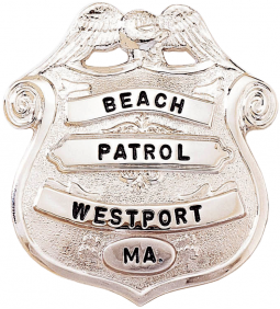 Shield Badge with Eagle