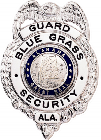 Badge with Eagle and Circular Panel