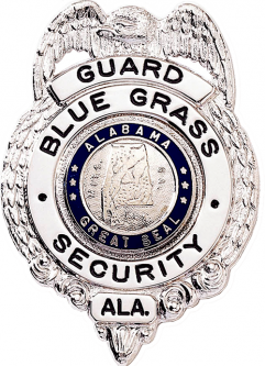 Badge with Eagle and Circular Panel