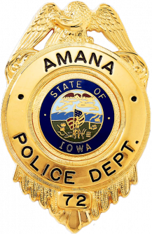 Badge with Eagle and Circular Panel