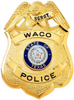 Shield badge with eagle