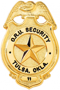 Badge with Eagle and Circular Panel