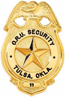 Badge with Eagle and Circular Panel