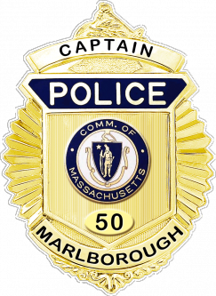 Radiator Badge with Arm of Law at Top.  The tab below the seal is now in die, not applied.