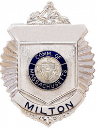 Radiator Style Badge with Arm of Law
