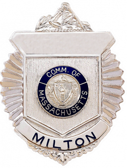 Radiator Style Badge with Arm of Law