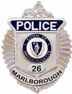 Radiator Style Badge with Arm of Law.  The tab below the seal is now in the die.