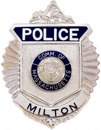 Radiator Style Badge with Arm of Law