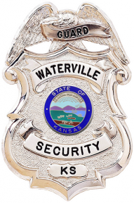 Badge with Eagle Holding Ribbon Panel