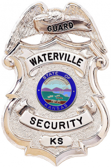 Badge with Eagle Holding Ribbon Panel