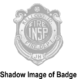 Deluxe Enamel Small Shield Badge