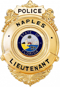 Badge with Semi Circular Panel