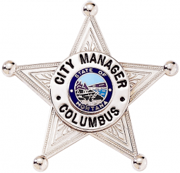 Five Point Star Badge with Ball Tips