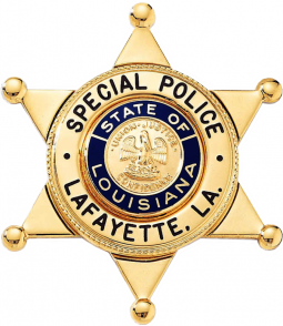 6-Point Star Badge with Circular Panel