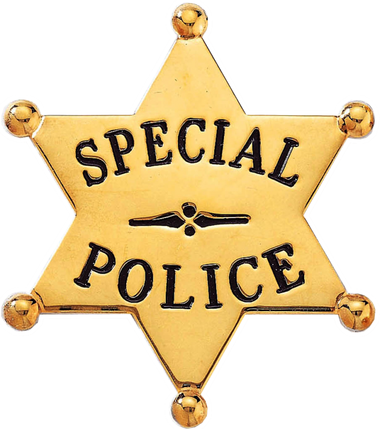 6 Point Star Badge