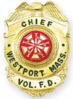 Badge with Eagle and Semi Circle Panel