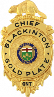 Shield with a Beaver