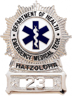 Sunburst Badge with Circular Panel and Rectangle Bottom Panel