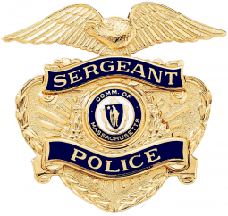 Badge with Eagle and Applied Reverse Enamel Panels