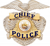 Badge with Eagle and Applied Panels