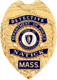 Badge with Eagle and Applied Reversed Enamel Panels