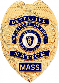 Badge with Eagle and Applied Reversed Enamel Panels