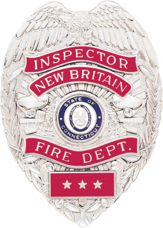 Badge with Eagle and Applied Reversed Enamel Panels