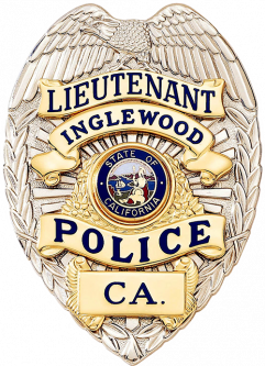 Badge with Eagle and Applied Panels