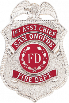 Badge with Eagle and Applied Reverse Enamel Panels