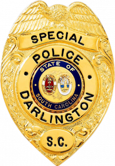 Badge with Eagle and Circular Panel