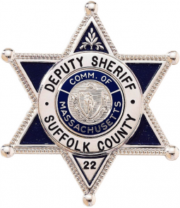 6-Point Deluxe Star Badge with Circular Panel