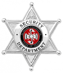 Six Point Star Badge with Circular Panel