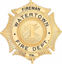 Sunburst Badge with Circular Panel