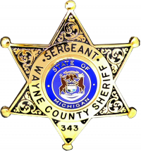 6-Point Star Badge with Circular Panel