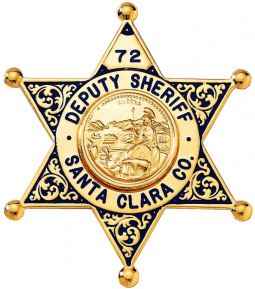 6-Point Star Badge