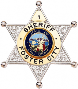 6-Point Star Badge with Circular Panel