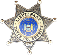 7-Point Star Badge Enamel in the Background