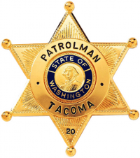 Six Point Star Badge with Circular Panel