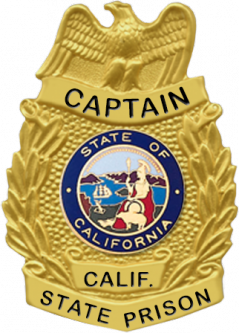 Badge with Eagle and Wreaths on the Sides