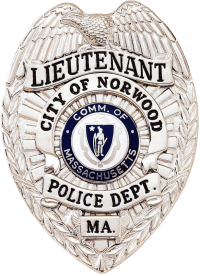 Badge with Eagle and Applied Panels