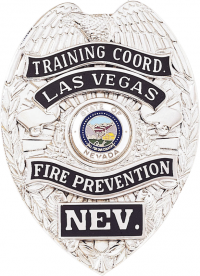 Badge with Eagle and Applied Reversed Enamel Panels