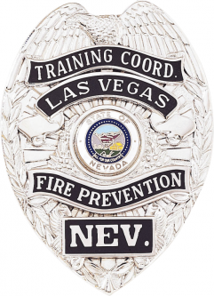 Badge with Eagle and Applied Reversed Enamel Panels