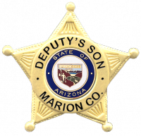 Miniature Five Point Star Badge