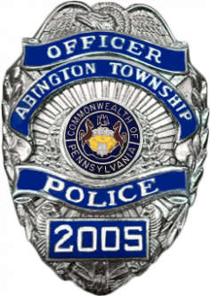 Shield Badge with Proud Eagle and Reversed Enamel Panels